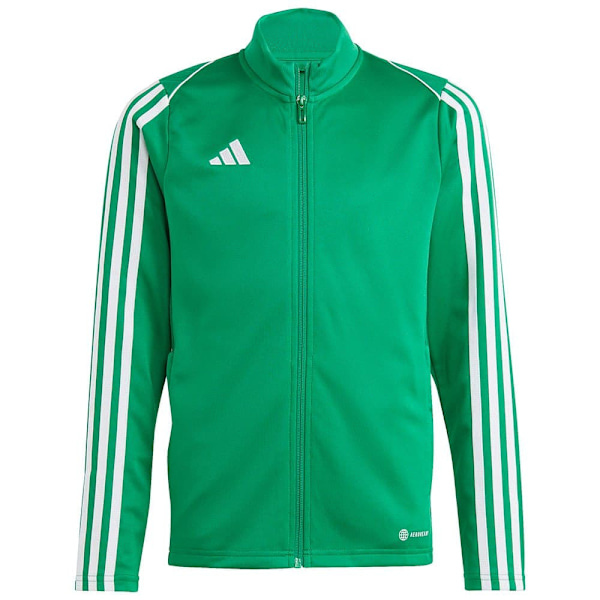 Adidas Jacka Tiro23l Grönt 5-6 Years Pojke