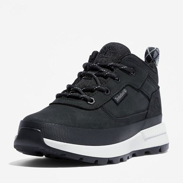 Timberland Field Trekker Vaelluskengät Musta EU 36