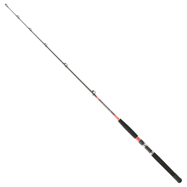Daiwa Trollingstav Megaforce Silver 1.70 m / 30-50 Lbs