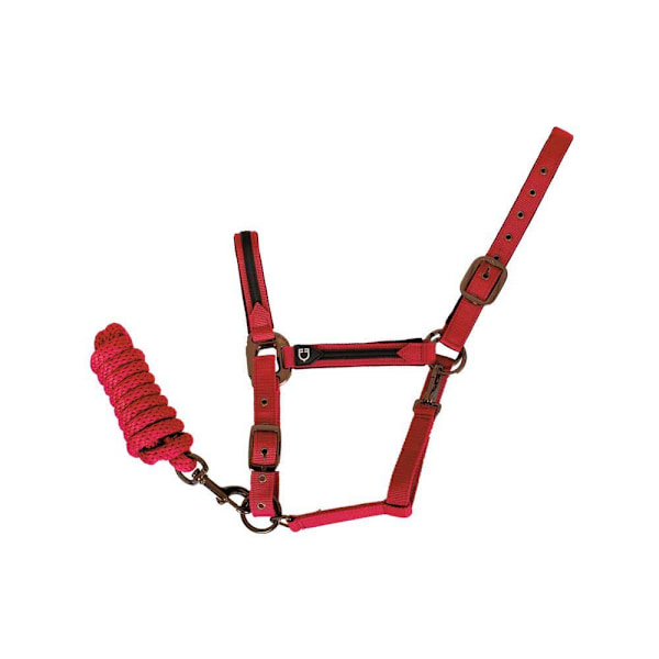 Equestro Elegance Riimu Ja Talutin  Coby