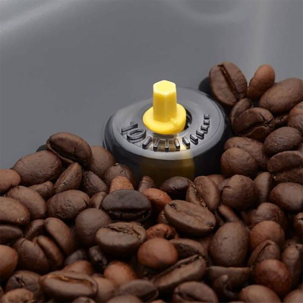 Gaggia Cadorna Milk Ri9603/01 Superautomatisk Kaffemaskine  One Size / EU Plug