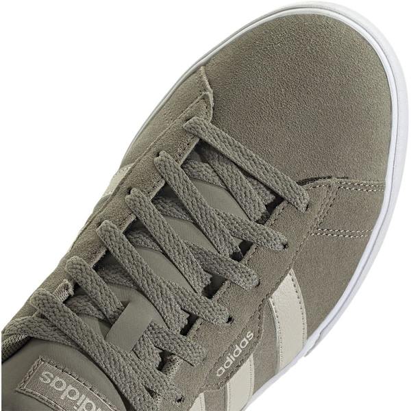 Adidas Valmentajat Daily 3.0 Vihreä EU 42 Mies