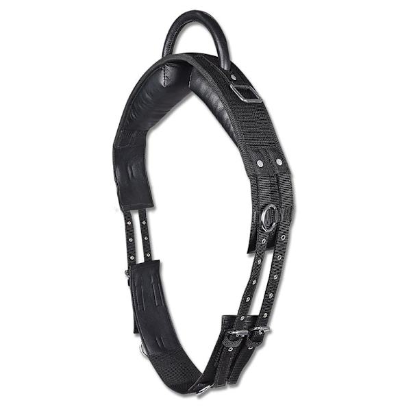 Star Ympärysmitta Handle Lunging Synthetic Musta Shetland