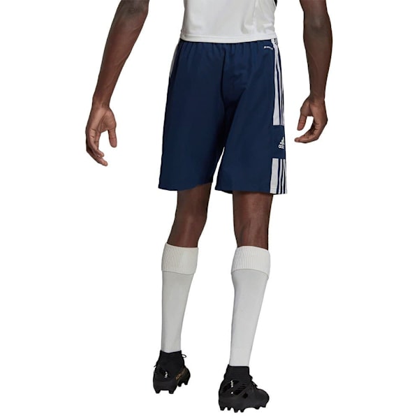 Adidas Squadra 21 Shorts Blå 2XL / Regular Man