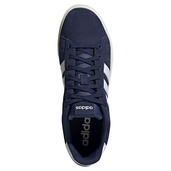 Adidas Daily 4.0 Skor Blå EU 43 1/3 Man