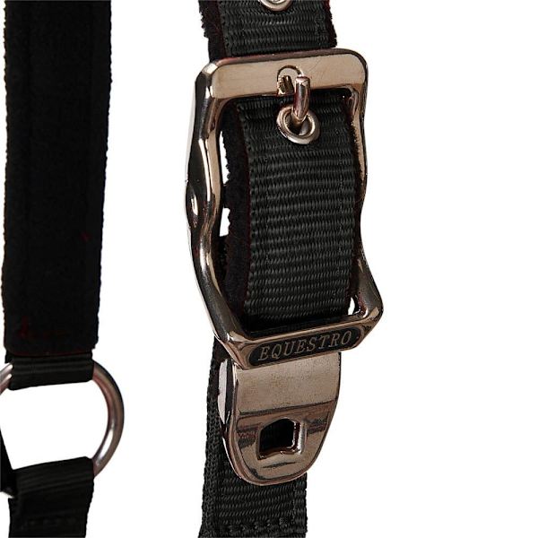Equestro Shiny Fittings Riimu Ja Talutin Musta Cob
