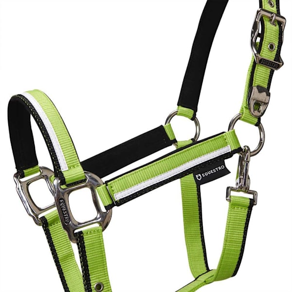 Equestro White Trim Riimu Ja Talutin  Coby