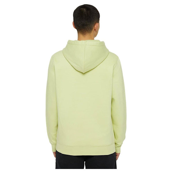 Dickies Oakport Tröja Med Huva Gul L Man