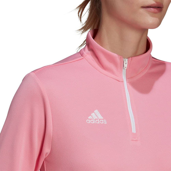 Adidas Huppari Entrada 22 Training Pinkki L / Regular Nainen
