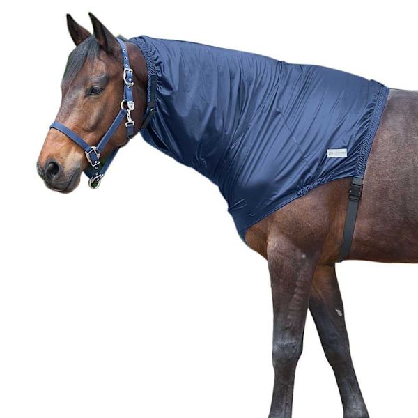 Waldhausen Nackskydd Eczema Blå Pony