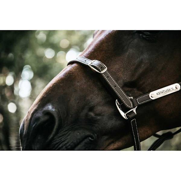 Kentucky Läder Grimma Flexible  Full