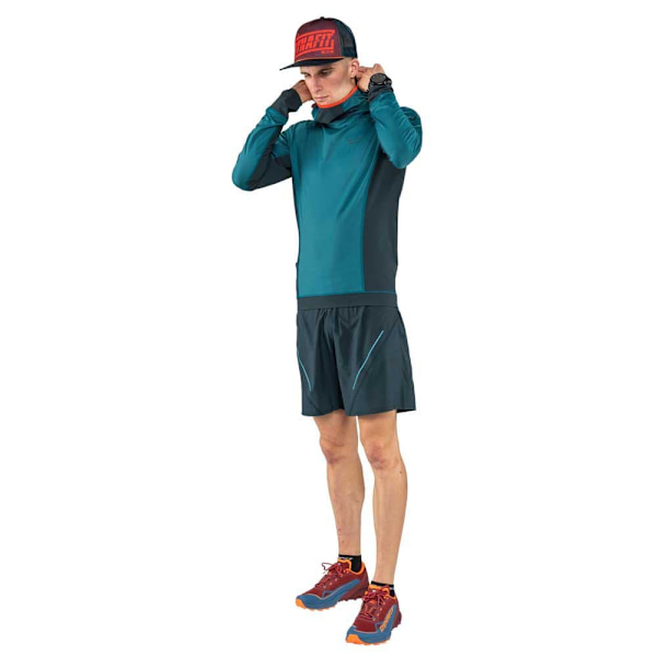 Dynafit Pitkähihainen T-paita Alpine Sininen XL Mies