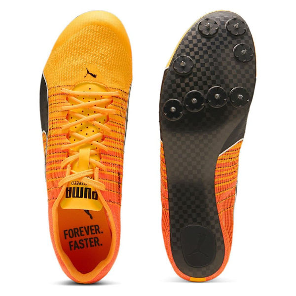 Puma Evospeed Future Fast Sko  EU 44 1/2 Mand