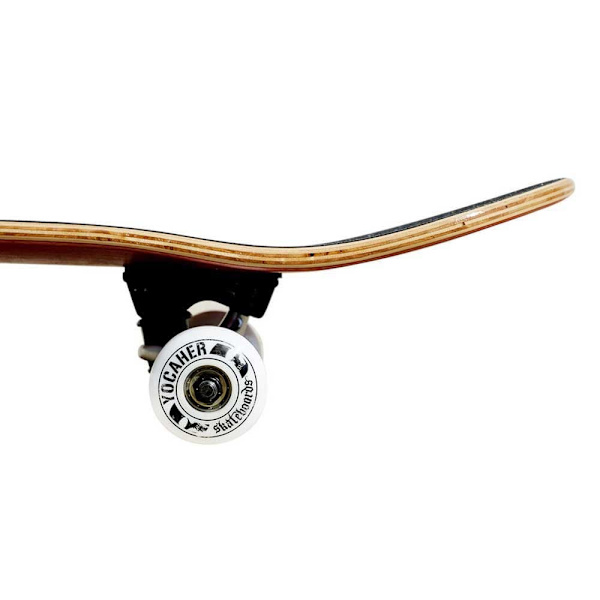 Yocaher Skateboard Graphic Comix Series Bandit 7.75´´ Flerfärgad 31 Inches