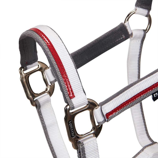 Equestro Red Trim Riimu Ja Talutin  Full