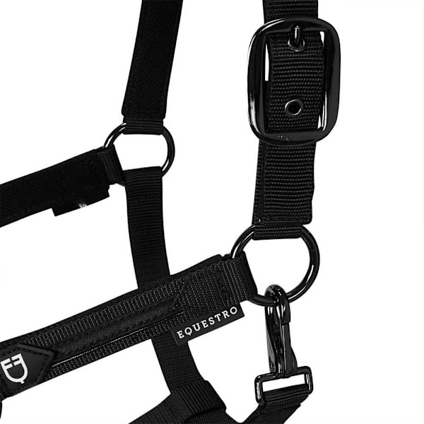 Equestro Elegance Riimu Ja Talutin  Coby