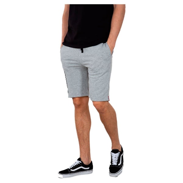 Alpha Industries Basic Ai Shorts Grå 2XL Man