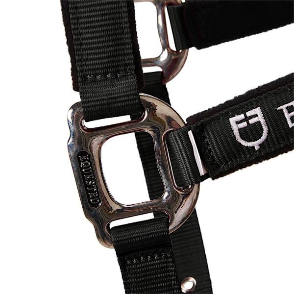 Equestro Shiny Fittings Riimu Ja Talutin Musta Cob