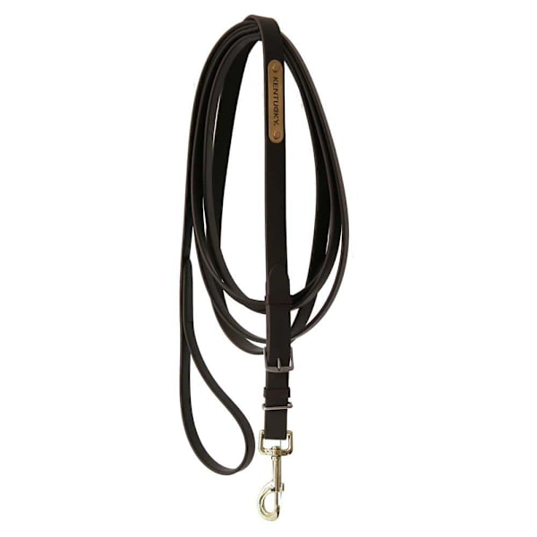 Kentucky Leda Stallion  400 cm