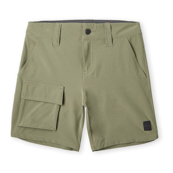 O´neill Easton Cargo Shorts Grönt 13-14 Years Pojke