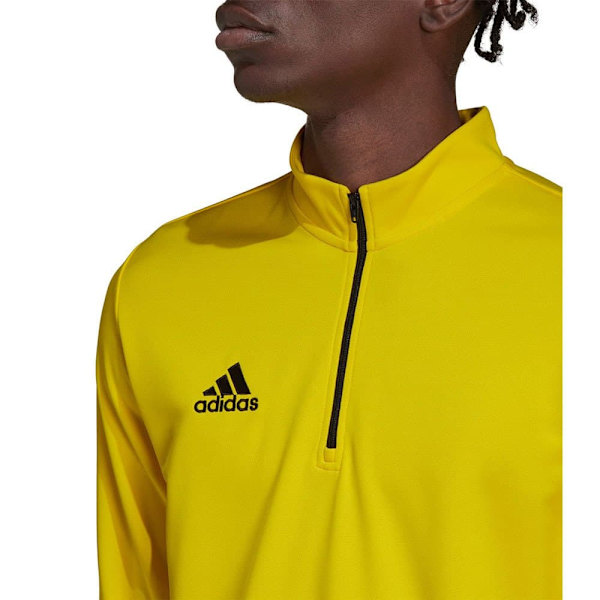 Adidas Tröja Entrada 22 Training Gul L / Tall 3 Man