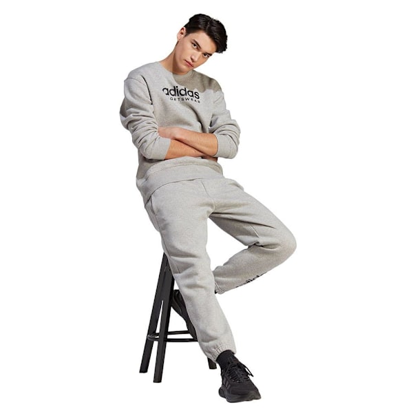 Adidas Sweatshirt All Szn Grå S / Regular Mand