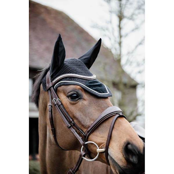Kentucky Lentoreitti Wellington Basic Velvet  Cob