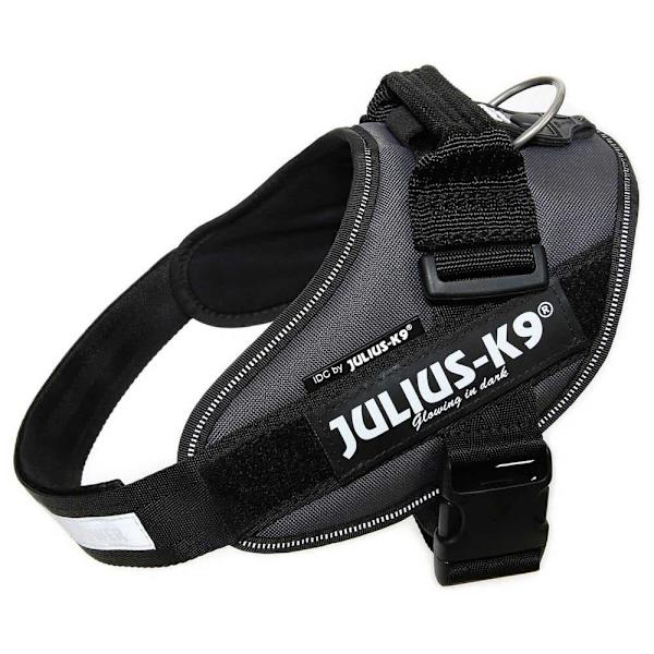 Julius K-9 Valjaat Idc® Power Harmaa L-1