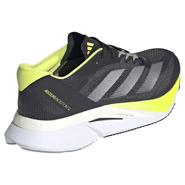 Adidas Adizero Boston 12 Løbesko  EU 42 Mand