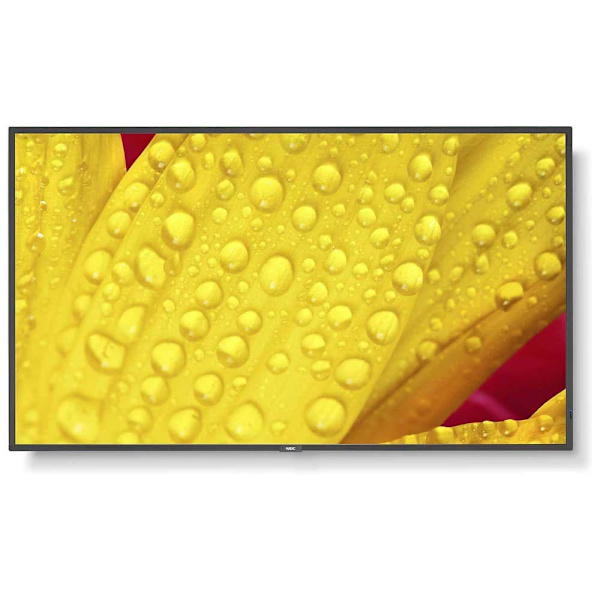 Nec Overvåge Me431 42´´ 4k Led Gul Sort