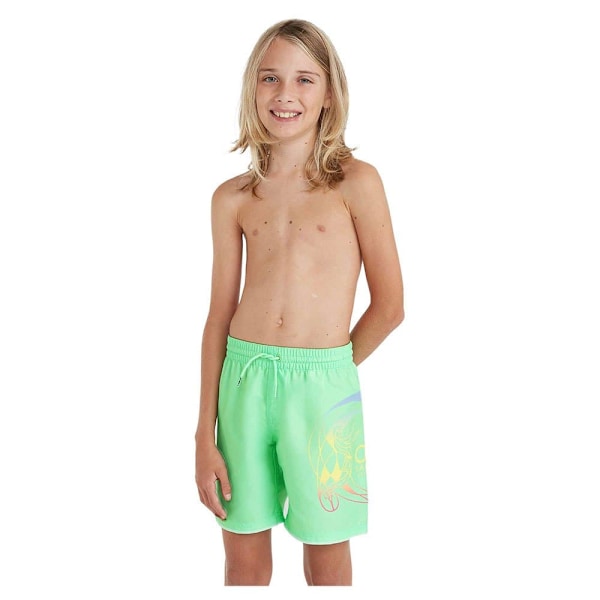 O´neill Circle Surfer 14´´ Uimahousut Vihreä 13-14 Years Poika