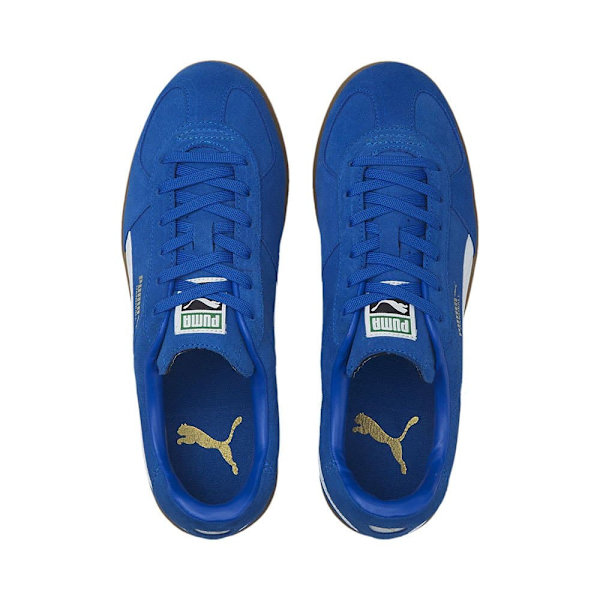 Puma Sko Handball Blå EU 39 Mand