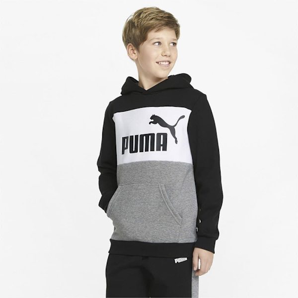 Puma Sweatshirt Essentials+ Colorblock Fl Grå 7-8 Years