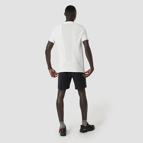 Salewa Pedroc 2 Dst Shorts Grå S Mand