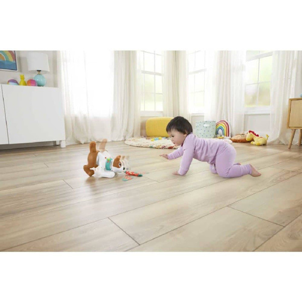 Fisher Price Krypa Med Mig Valp 123 Flerfärgad 6 Months