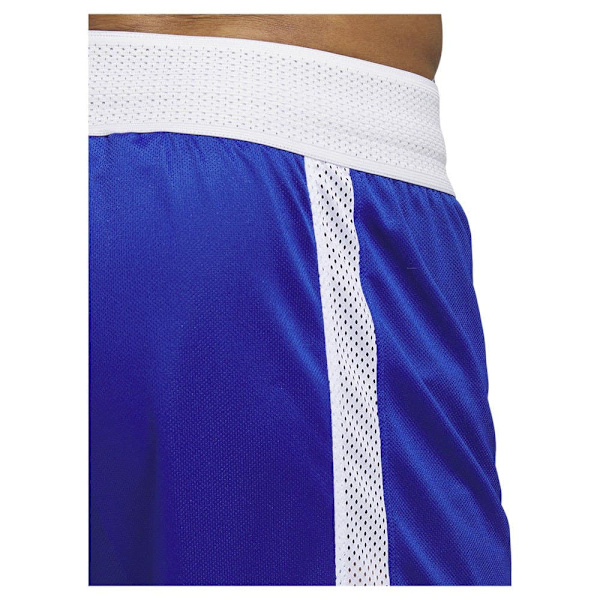 Adidas Shorts Paris 23/24 Icon Squad Blå M / Regular Mand