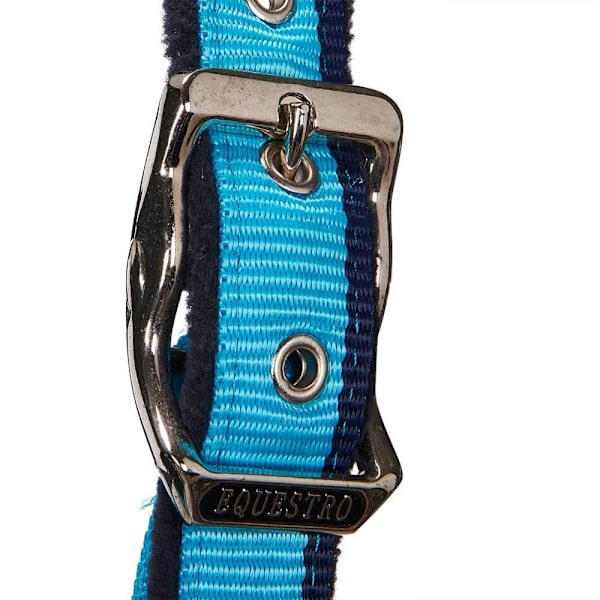 Equestro Red Trim Riimu Ja Talutin  Coby