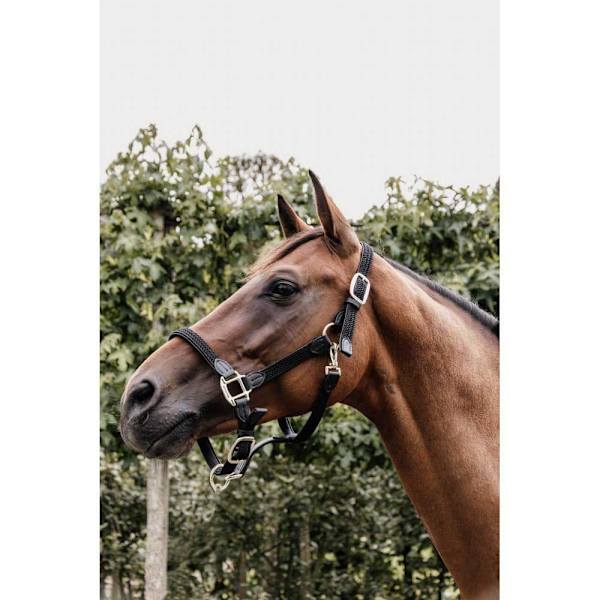 Kentucky Flettet Grime Nylon  Full