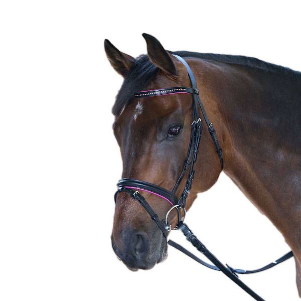 Star Tygla Diamant Brun Pony