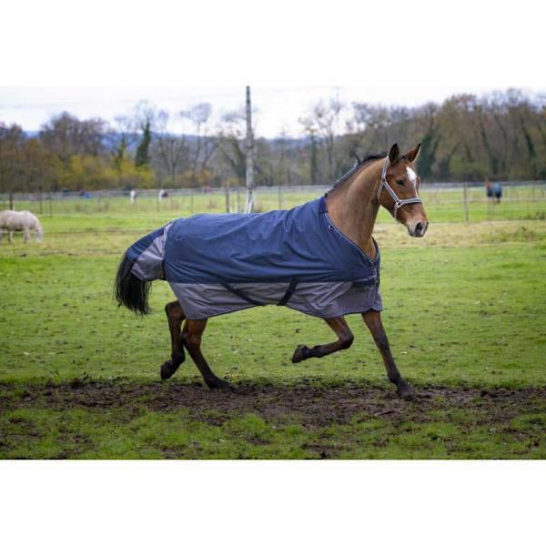 Equitheme Standard Valdeltagande Matta Tyrex 600 D Polyfil 0g Blå 140-100 cm