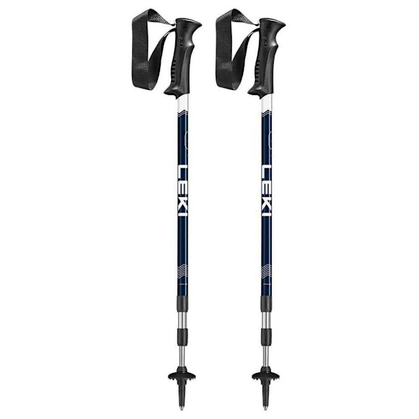 Leki Polacker Eagle Silver 110-145 cm