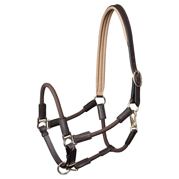 Waldhausen Grimma Nevada Guld Cob