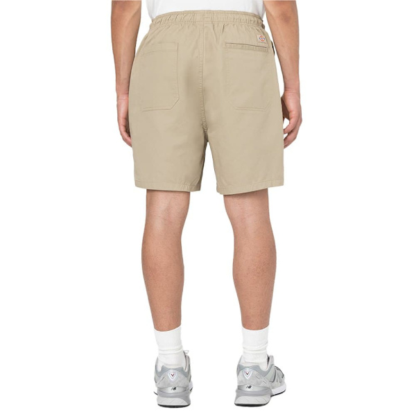 Dickies Shorts Pelican Rapids Beige XS Man