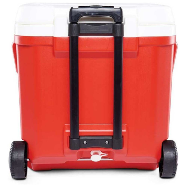 Igloo Coolers Pyörillä Varustettu Jäykkä Kannettava Jäähdytin Laguna 57l Kirkas 50 x 40 x 51 cm