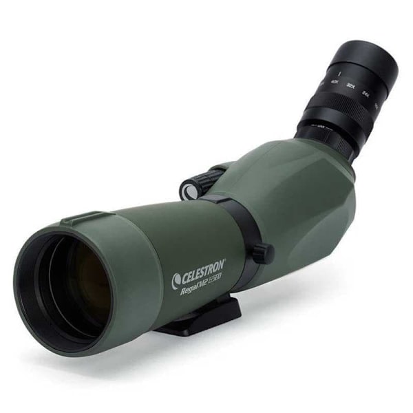 Celestron Spotting Scope Regal M2 65ed 45º Teleskop Grönt