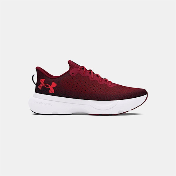 Under Armour Infinite Løbesko  EU 42 Mand