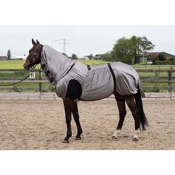 Harry´s Horse Uv Flygande Matta  165 cm