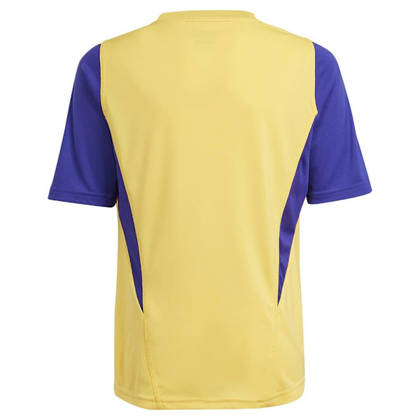Adidas Nuorten Lyhythihainen T-paita Koulutus Real Madrid 23/24 Keltainen 15-16 Years
