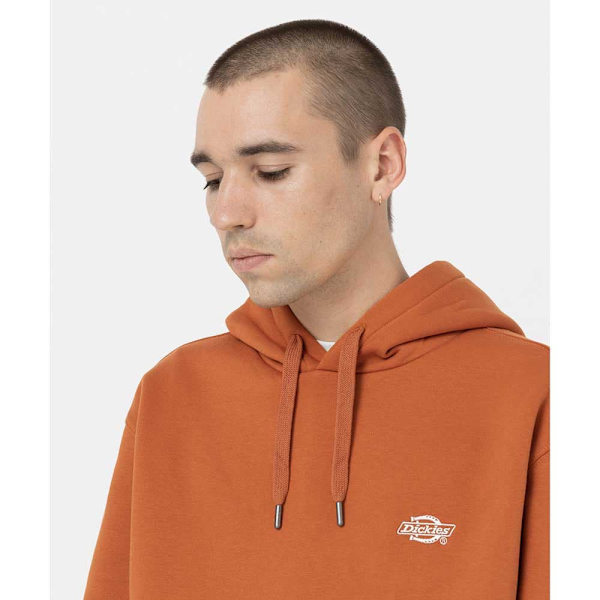 Dickies Huppari Summerdale Ruskea S Mies