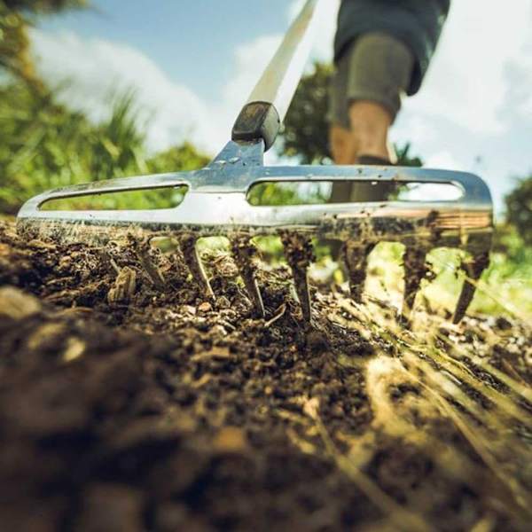 Fiskars Rose Rake Xact S  23.5 cm
